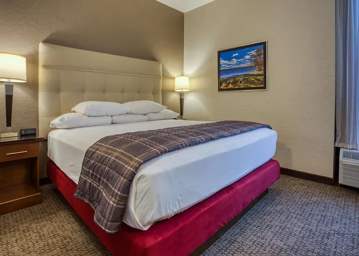 Drury & St. Louis - Hotel Fairview Heights